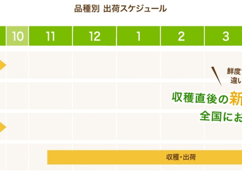 (2/2018時～23日まで割引中！)発送中「王秋梨」2.5キロ(4～6玉) 熨斗対応 たにがみ農園 鳥取県産 みずみずしい 梨 nashi ナシ なし【冬ギフト】