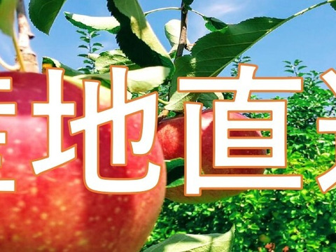 信州りんごプライスダウン🍎4キロ(ふじ小玉極小玉)
