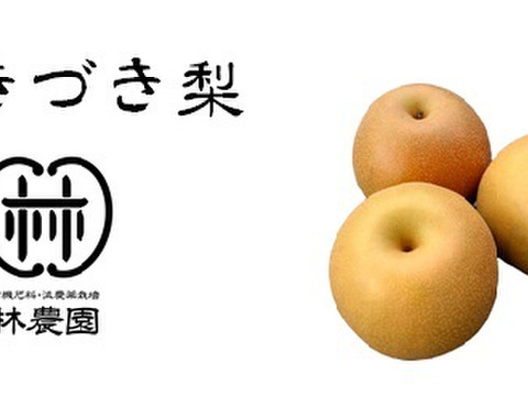 あきづき梨(家庭用）　約5kg(12〜16玉)