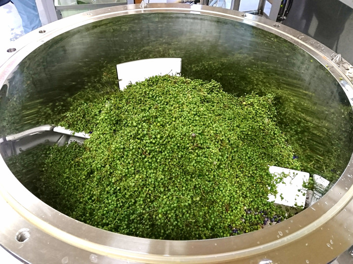 【陰干し自然乾燥　健康馬ブドウ茶】野ぶどう茶　１kg　発送日に新鮮袋詰め❗️ 野ぶどうの通販専門店
