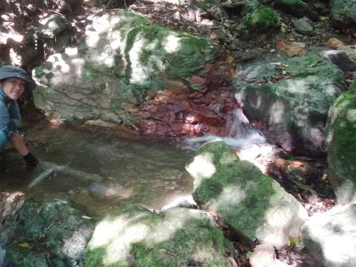 【加計呂麻島の自然】