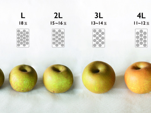新鮮 船橋の完熟梨 ≪あきづき/5㎏/スモールサイズ/S~L(22~18玉)≫
"千葉県船橋市のあま～い梨"  朝どれの美味しい”なし”を直送いたします！【夏ギフト】