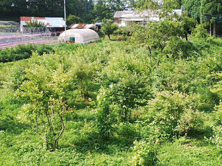 生産者のこだわり