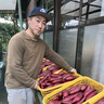 MARUKUファーム