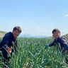 河西青果