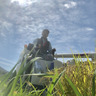 新本farm