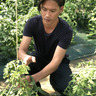 OSADA GREEN FARM