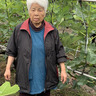 鈴木農園