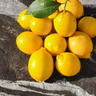 小粒な春レモン娘(栽培期間中農薬不使用・有機肥料・ノーワックス防腐剤)7個