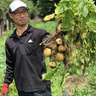 ファーム・インさぎ山