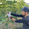 NaruFarm（ナルファーム）