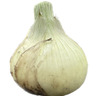 Veggie