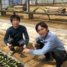 濃厚メロンのとよかわ農園