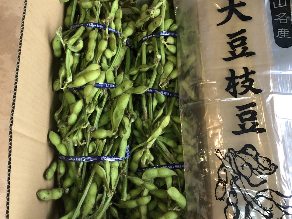 丹波篠山産 黒枝豆 枝付き1kg×2束:兵庫県産の丹波黒大豆枝豆|食べチョク|産地直送(産直)お取り寄せ通販 - 農家・漁師から旬の食材を直送