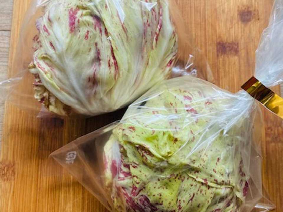 カステルフランコ 希少な国産です! 京都府産:京都府産のその他葉物野菜|食べチョク|産地直送(産直)お取り寄せ通販 農家・漁師から旬の食材を直送