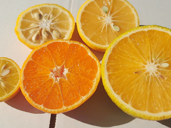 お客様に満足と笑顔をお届けいたします