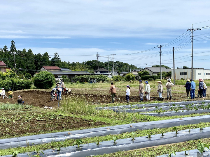 実は私、野菜嫌いでした…