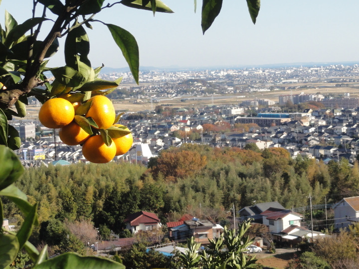 生産者のこだわり