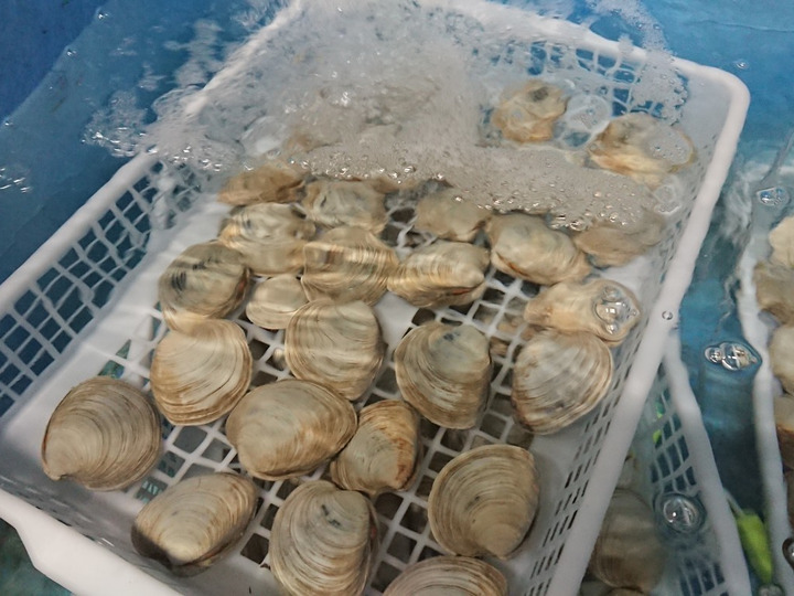 徹底した生簀の水質管理