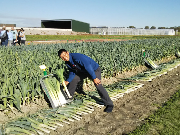 竹中農場の紹介 北海道 食べチョク 農家 漁師の産直ネット通販 旬の食材を生産者直送