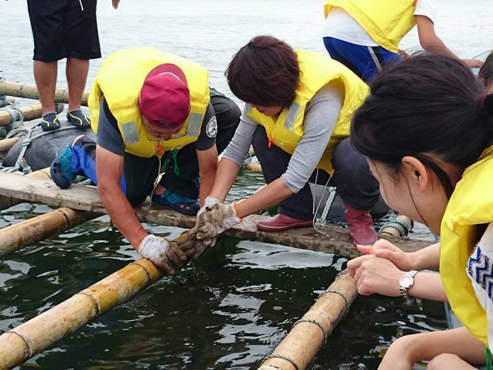 東日本大震災から復興「牡蠣」