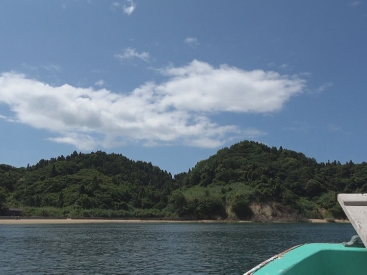 無人島での栽培
