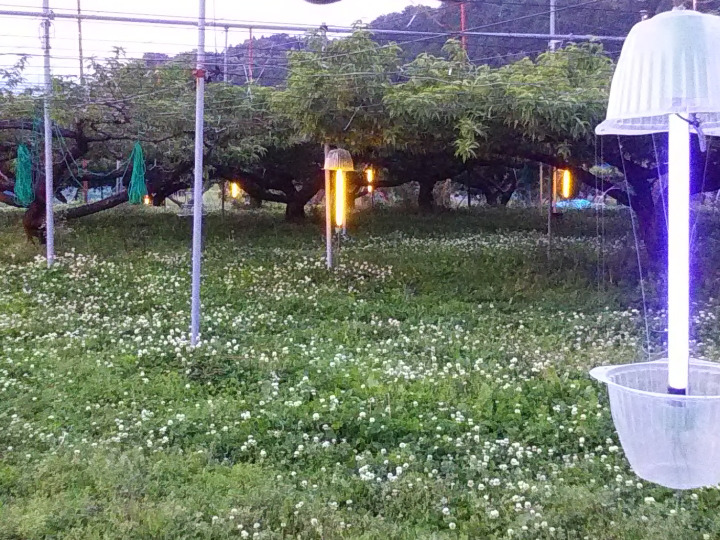 生産者のこだわり