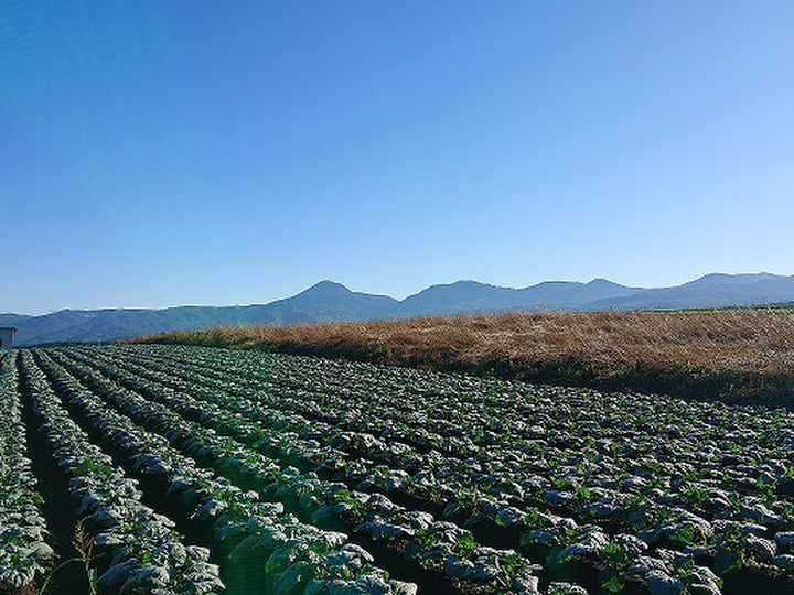 長野県茅野市【八ヶ岳の麓】の水も空気も綺麗な場所で作っております。