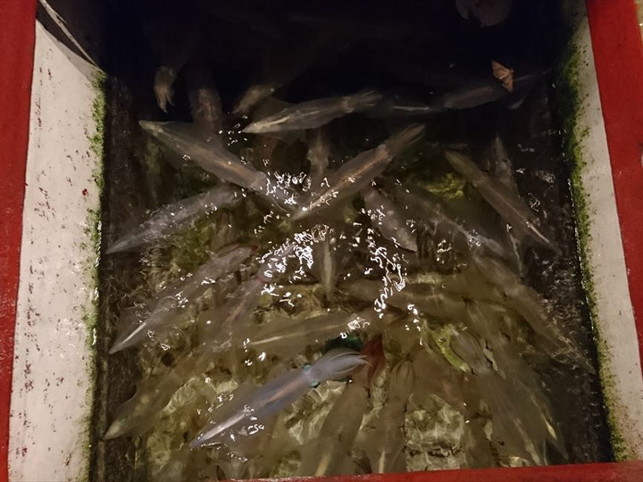 生産者のこだわり