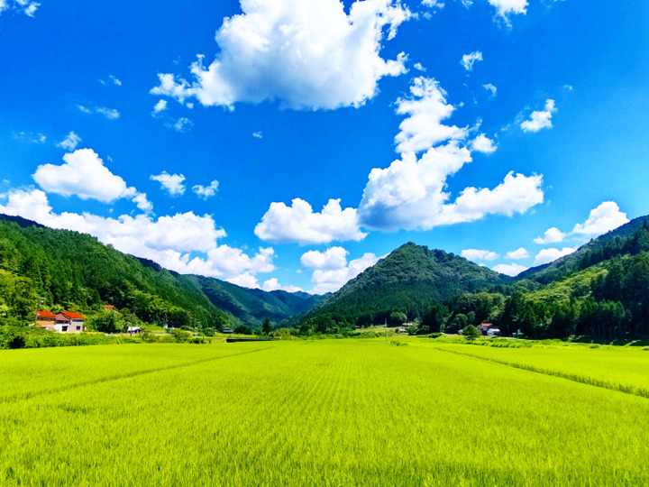 生産者のこだわり