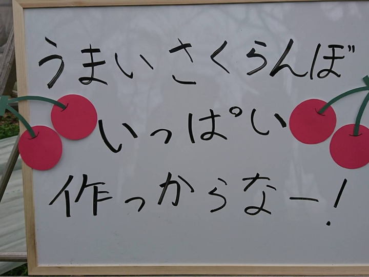 たっぷり堆肥、鮮度命の朝採り直送!!