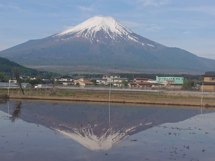 標高900mで育て上げた富士山の恵み