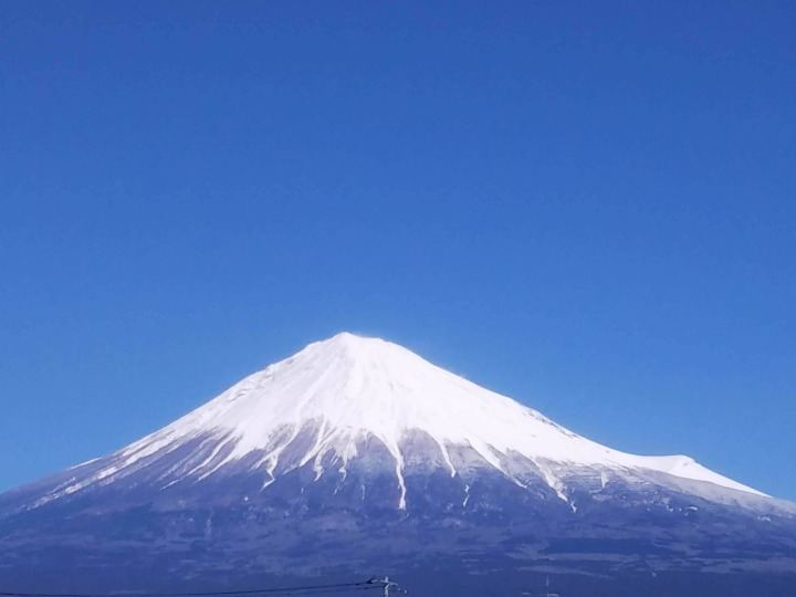 生産者のこだわり