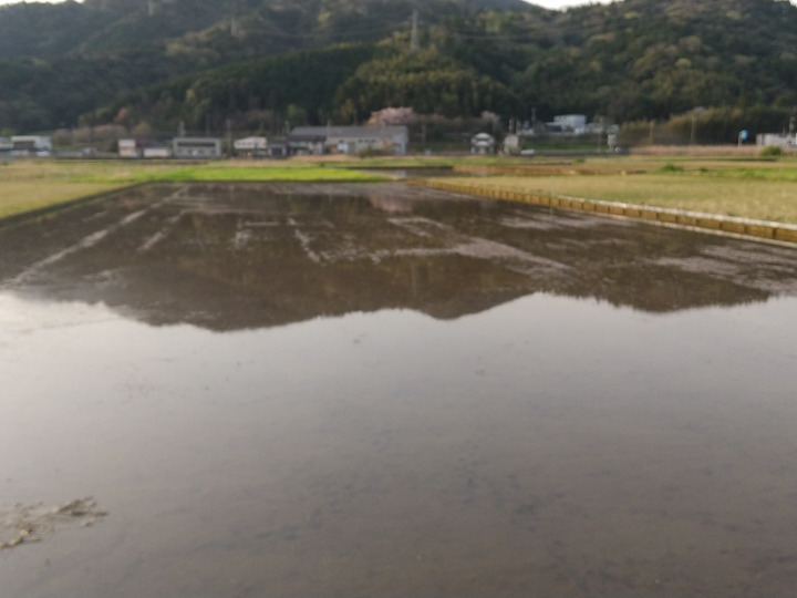 令和7年産】 華越前 玄米 10Kg（除草剤不使用）：福井県産のお米｜食べ