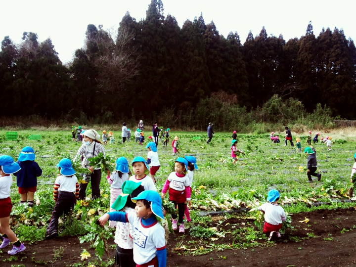 環境にやさしい持続型農業