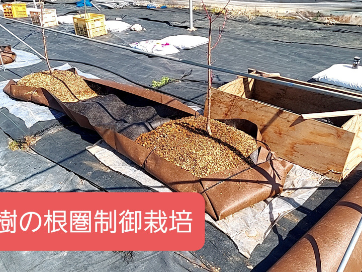生産者のこだわり