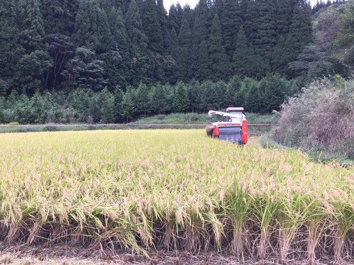 生産者のこだわり