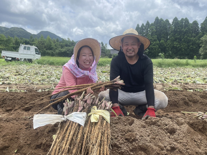 しもそえだ農園へのレビュー・商品：鹿児島県｜食べチョク｜産地直送