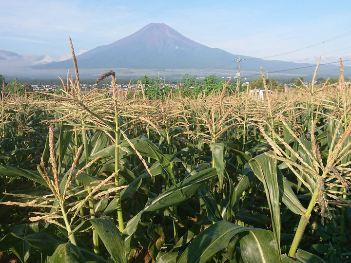 富士山海の家の紹介 山梨県 食べチョク 農家 漁師の産直ネット通販 旬の食材を生産者直送