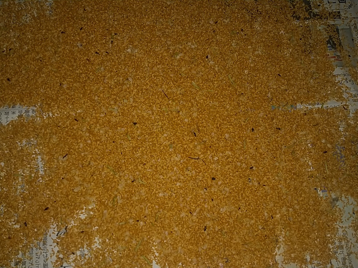 生産者のこだわり