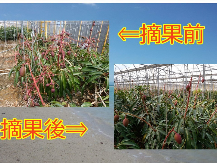 生産者のこだわり