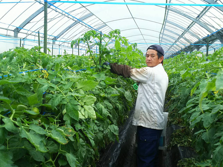 生産者のこだわり