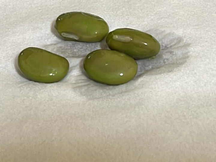 生産者のこだわり