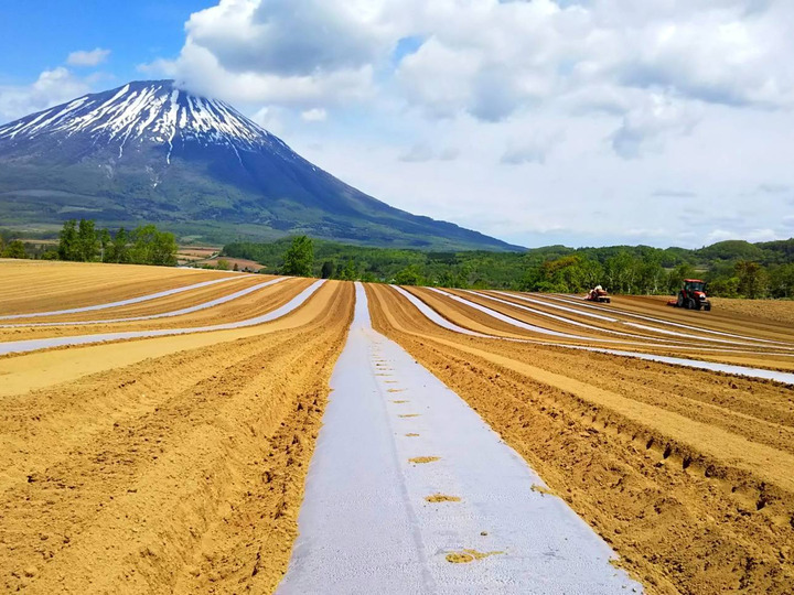 恵まれた大地