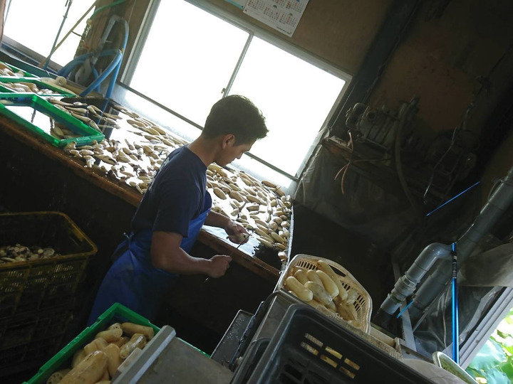 生産者のこだわり