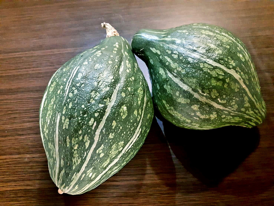 空のかぼちゃ【ロロン】3kg：山梨県産｜食べチョク｜農家・漁師の産直ネット通販 旬の食材を生産者直送