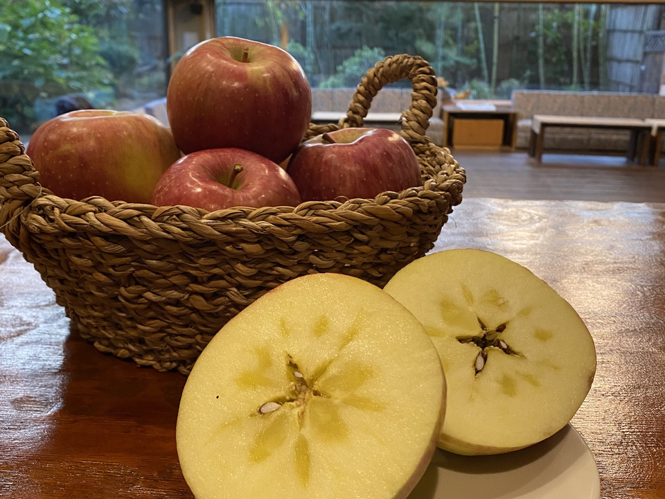 フードロスを減らそう！食べきりサイズ サンふじ！ 小玉 家庭用 3kg：長野県産のりんご｜食べチョク｜産地直送(産直