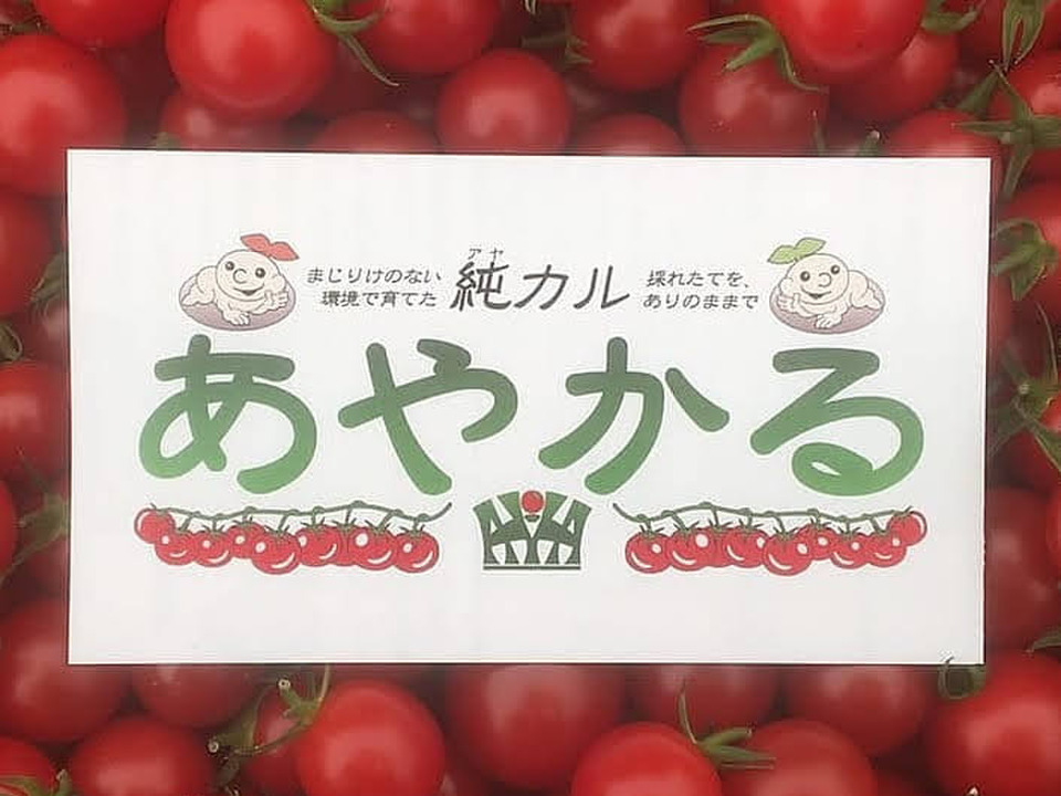 《期間限定10％OFF!!》樹上完熟あやかる®️フルーツミニトマト[千果]（2kg）：大阪府産の千果｜食べチョク｜産地直送(産直)お取り寄せ ...