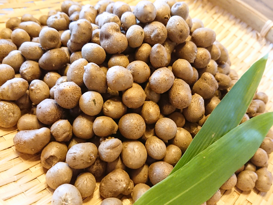 山の幸!ほくほくがたまらない!むかご(約400g):新潟県産の長芋|食べチョク|産地直送(産直)お取り寄せ通販 - 農家・漁師から旬の食材を直送