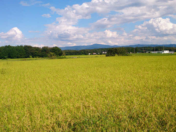 生産者のこだわり
